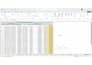 do excel data entry, formulas, formatting and pivot table
